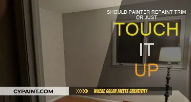 How Painters Decide: Repaint or Touch-Up?