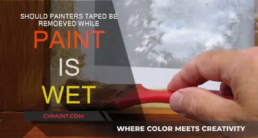 The Best Time to Remove Painter's Tape: Wet or Dry?