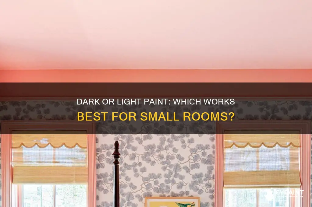 should small rooms be painted dark or light