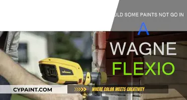 Wagner Flexio: What Paints to Avoid and Why