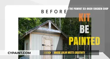 Enhancing Durability and Aesthetics: Painting the Pawhut D3-0029 Chicken Coop Kit