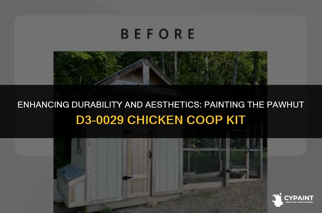 should the pawhut d3-0029 chicken coop kit be painted