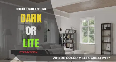 Dark or Light Ceiling Paint: Which Color Elevates Your Space?