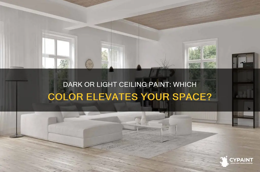 Dark Or Light Ceiling Paint: Which Color Elevates Your Space? | CyPaint