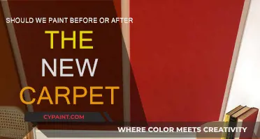 Carpet or Paint First? The Best Way to Renovate