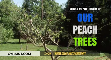 To Paint or Not: Peach Tree Trunks and Their Care