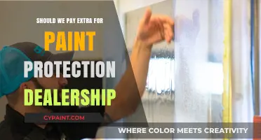 Is Paying Extra for Dealership Paint Protection Worth It?