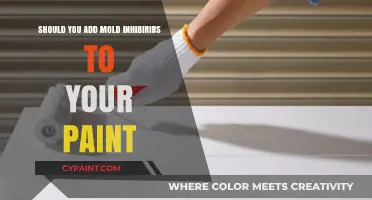 Should You Add Mold Inhibitors to Your Paint? Pros and Cons