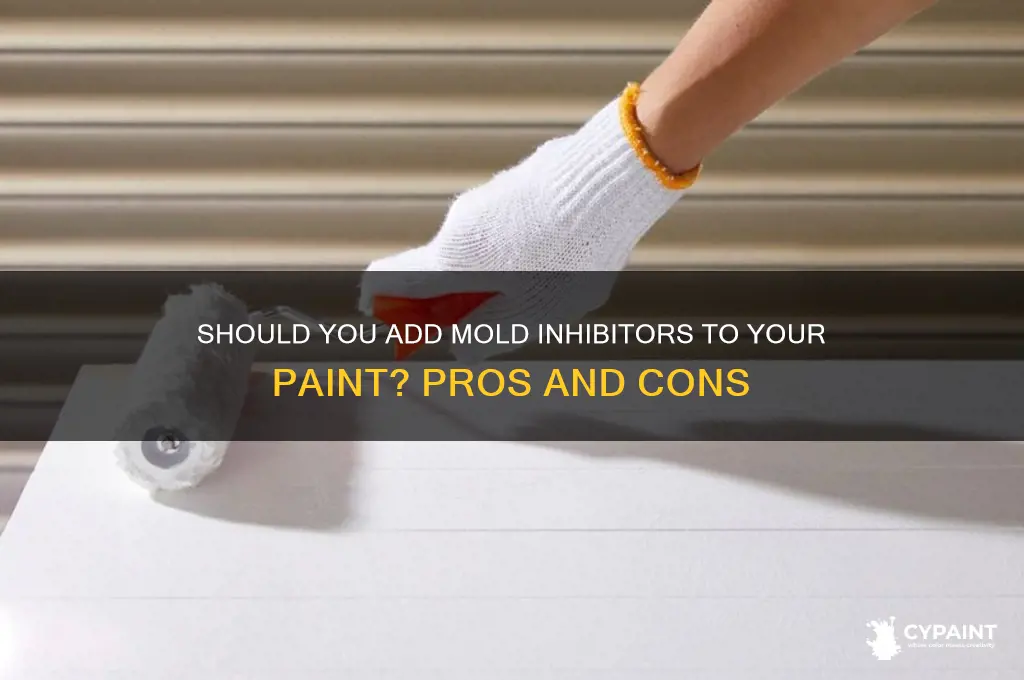 should you add mold inhibirirs to your paint