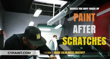 Buffing Touch-Up Paint: Essential Step or Unnecessary After Scratch Repairs?