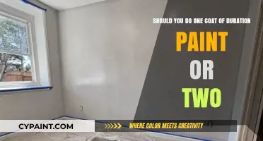 Single Coat vs. Double Coat: The Duration Paint Dilemma