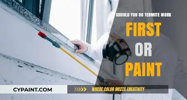 Termite Treatment vs. Painting: Which Home Improvement Task Comes First?