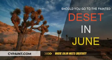 Exploring the Painted Desert in June: Is it Worthwhile?
