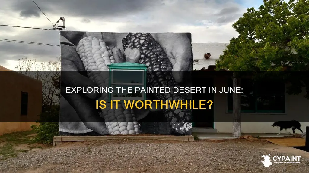 should you go to the painted deset in june
