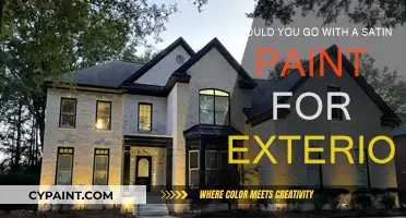 Exterior Satin Paint: Pros, Cons, and Tips