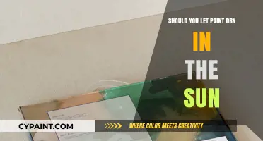 Sunlight vs. Paint: Should You Let Paint Dry in the Sun?
