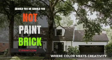 To Paint or Not: The Brick Dilemma Explored