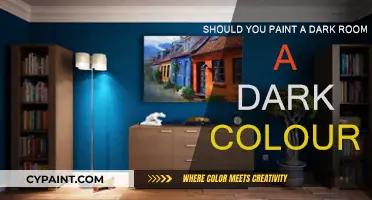 Dark Rooms: Embrace or Avoid Dark Colors?