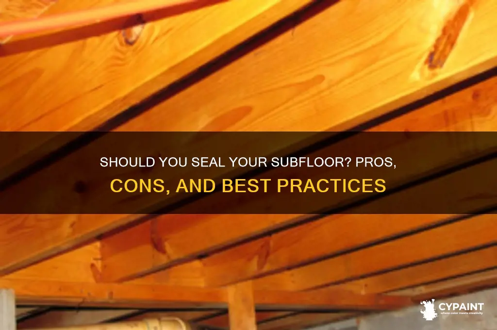 should you paint a sealer over a subfloor