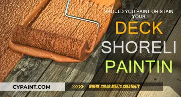 The Best Finish for Your Deck: Paint or Stain?