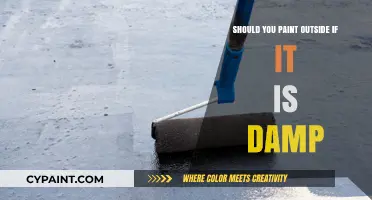 Painting in Damp Conditions: Risks, Tips, and Best Practices for Exterior Walls