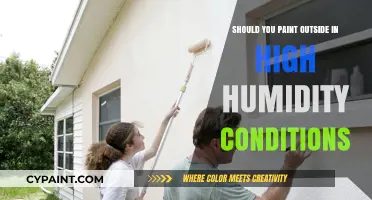 Painting in High Humidity: Risks, Tips, and Best Practices for Exterior Projects