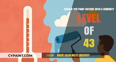 Ideal Conditions for Outdoor Painting: Humidity Level Insights