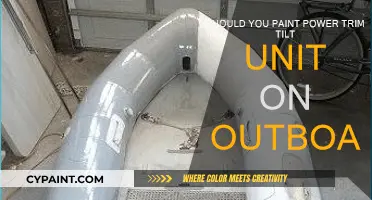 Outboard Power Trim Tilt Unit: Paint or Not?