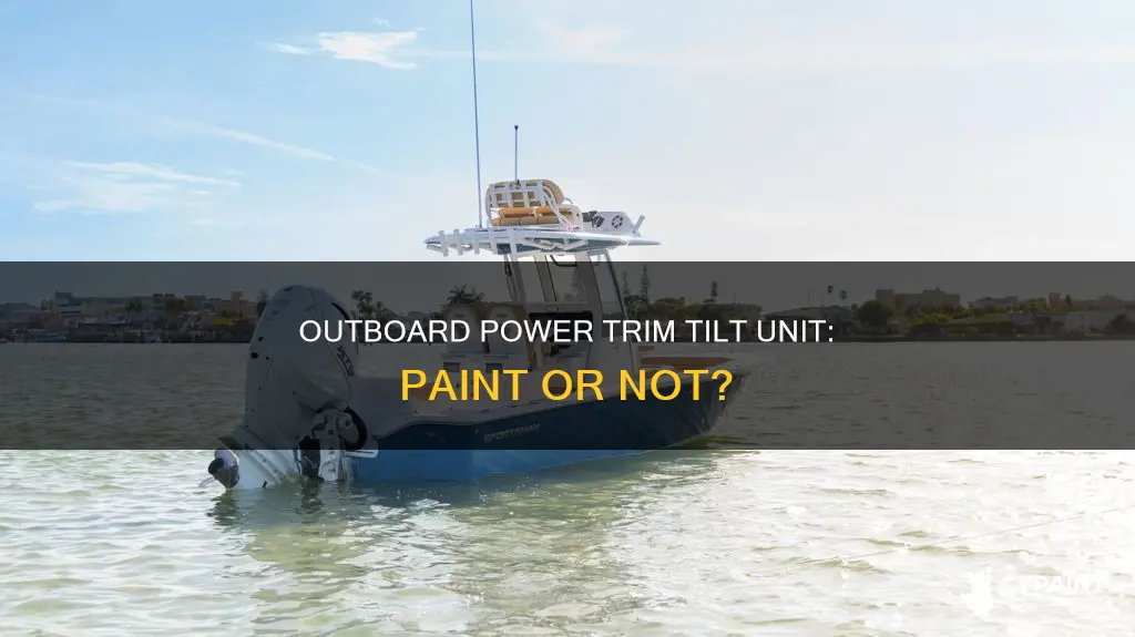 should you paint power trim tilt unit on outboard
