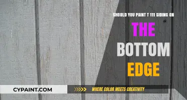 Revamping Your Home's Exterior: To Paint or Not to Paint T 111 Siding?
