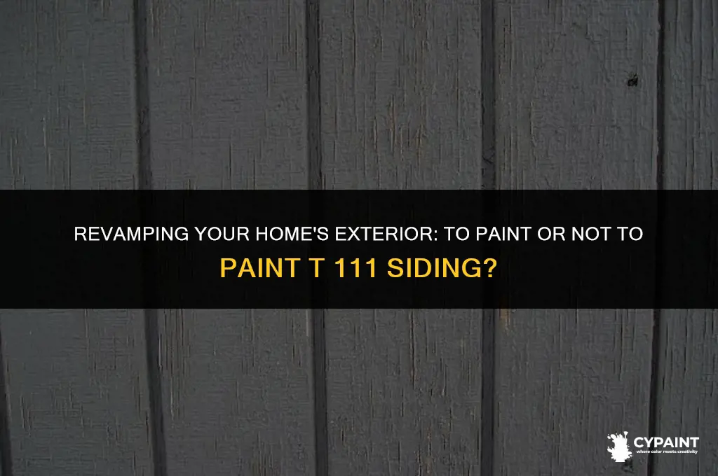 should you paint t 111 siding on the bottom edge