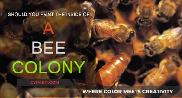 Painting Bee Colony Interiors: Is It Worth It?