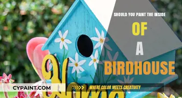 Painting Birdhouses Inside: Benefits, Tips, and Best Practices for Bird Safety