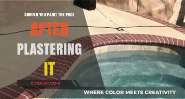 Should You Paint Your Pool Post-Plastering? Pros, Cons, and Tips