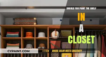 Painting Closet Shelves: Aesthetic Upgrade or Unnecessary Hassle?