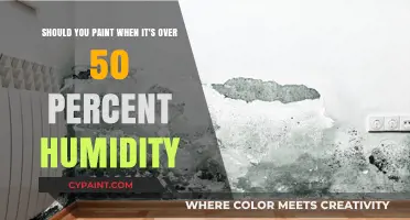 Painting in High Humidity: A Guide to Optimal Conditions