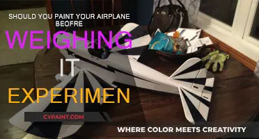 Weighing Your Plane: To Paint or Not to Paint?