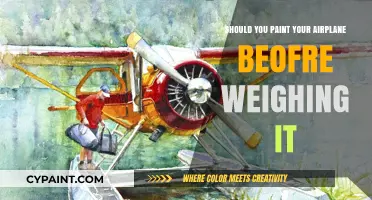 Should You Paint Your Airplane Before Weighing It? Pros and Cons
