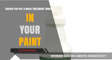 Enhancing Paint Quality: The Benefits of Mold Treatment Additives