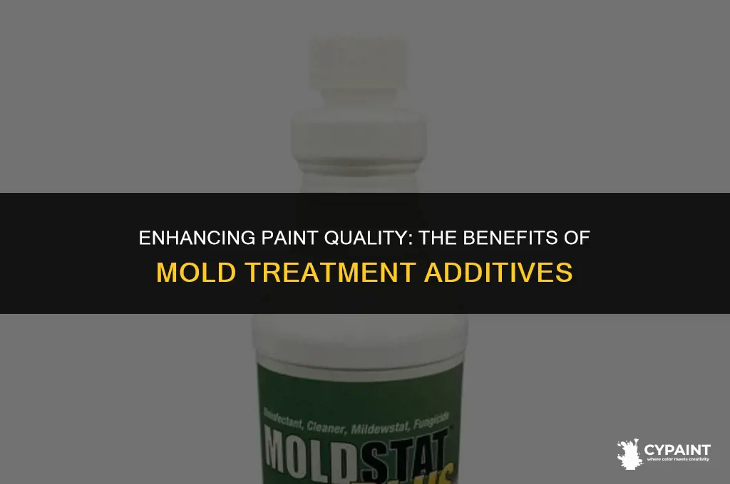 should you put a mold treatment additive in your paint