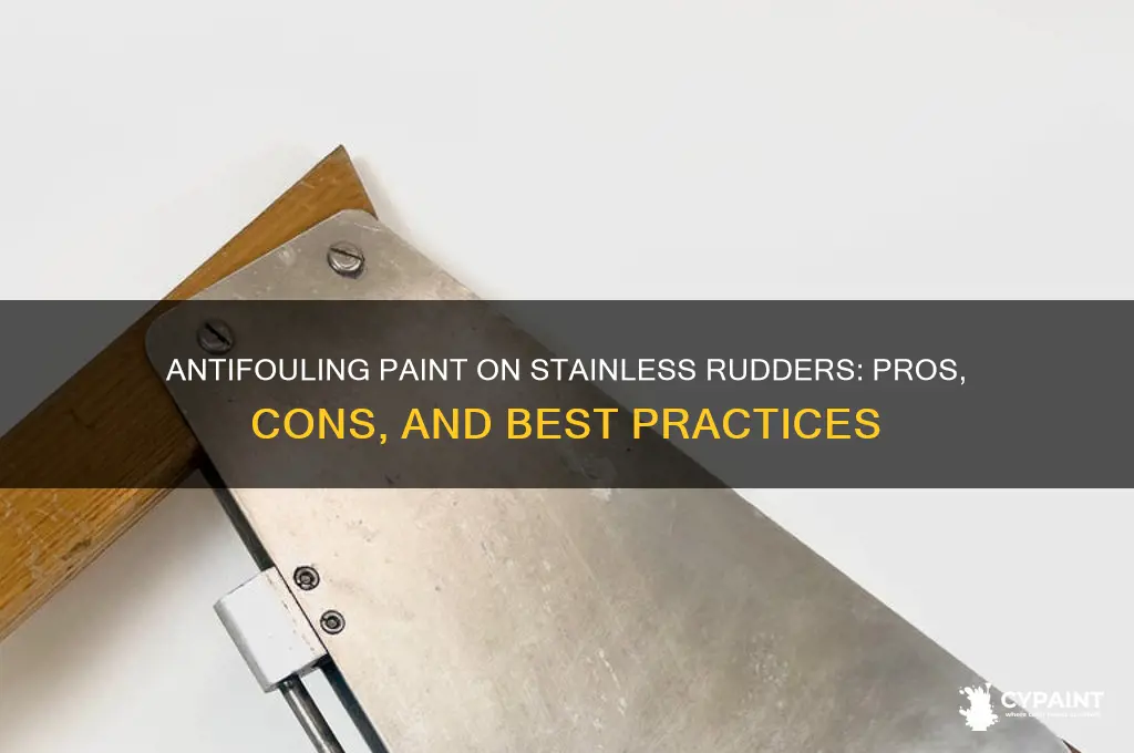 should you put antifouling paint on stainless rudders