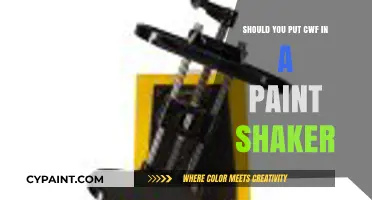Should You Put CWF in a Paint Shaker? Pros and Cons