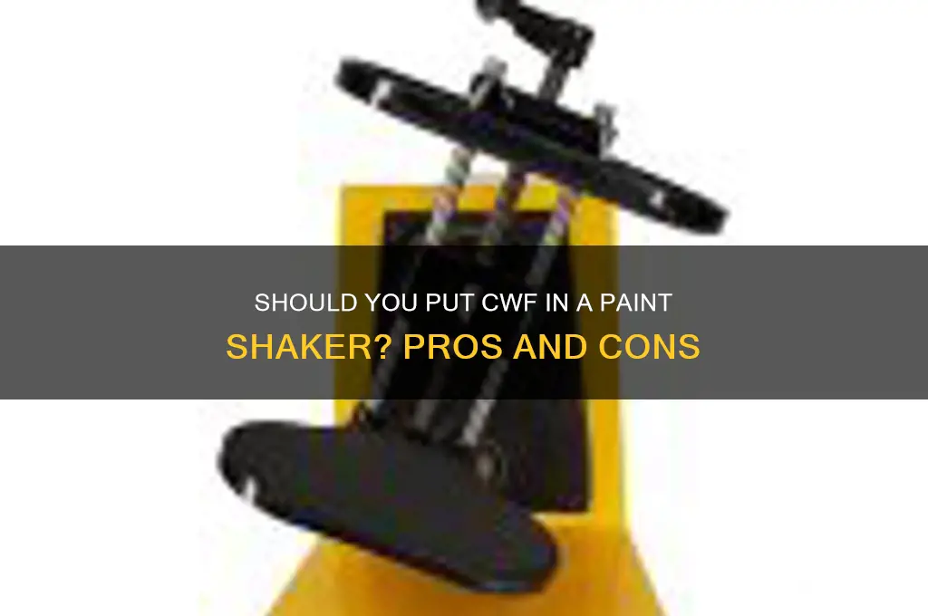 should you put cwf in a paint shaker
