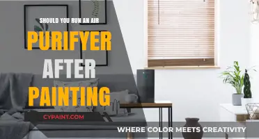 Post-Painting Air Quality: Should You Use an Air Purifier?
