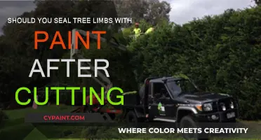 Why You Should Seal Tree Limbs With Paint