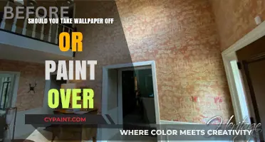Wallpaper Removal vs. Painting Over: Which Option is Best for You?