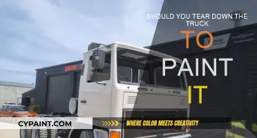 Truck Painting: Should You Dismantle?