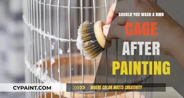 Should You Wash a Bird Cage After Painting? Expert Tips