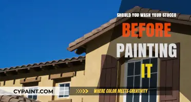 Prepping Stucco for Paint: Why Washing First is Essential