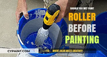 Wet or Dry? The Ultimate Guide to Prepping Paint Rollers